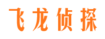 丰都市私家侦探